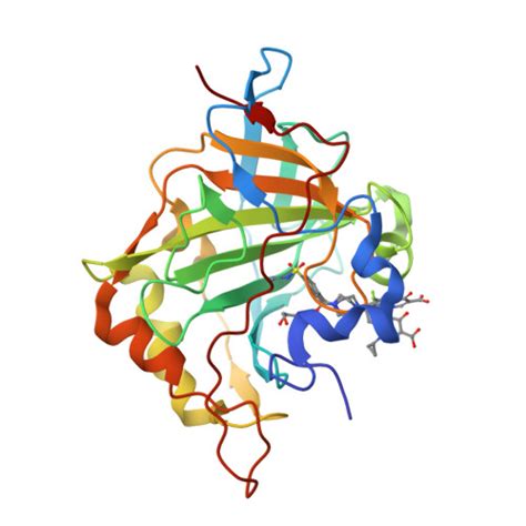 RCSB PDB 8OTP Crystal Structure Of Human Carbonic Anhydrase II With