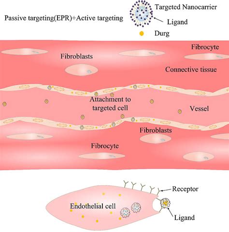 Frontiers Application Of The Nano Drug Delivery System In Treatment