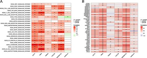 Enrichment Pathways Of GSVA A Heatmap Showing The Correlation Of