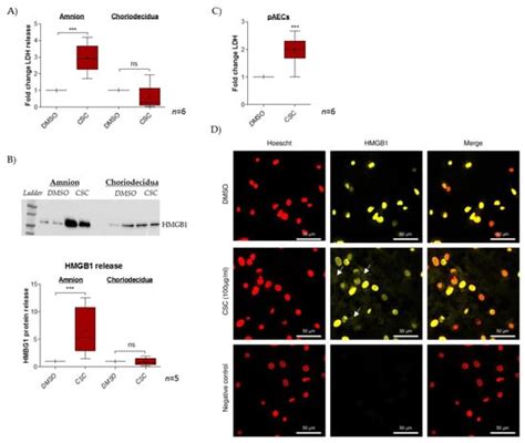 IJMS Free Full Text Cigarette Smoke Condensate Exposure Induces