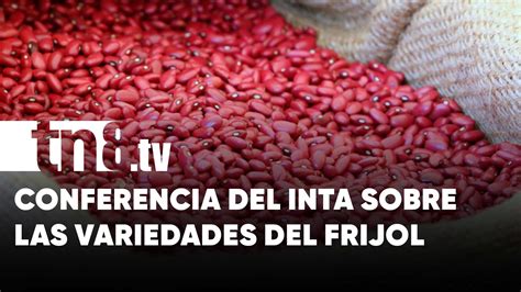 Variedades de frijol y mejoramiento genético Conferencia del INTA