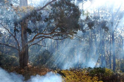 Bush Smoke From Fire In Blue Mountains Australia Stock Photo Image