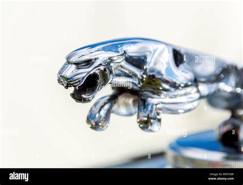 Jaguar Bonnet Mascot Off Mk1v Stock Photo Alamy