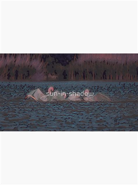 Mating Swans Sticker For Sale By Sun In Shadow Redbubble