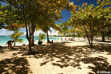 Les Raisins Clairs Farniente à Saint François Destination Guadeloupe