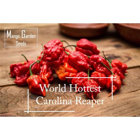 World Hottest Carolina Reaper Pepper Seeds 5 Seed Pot Friendly