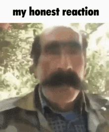 My Honest Reaction My Honest Reaction Meme GIF - My Honest Reaction My Honest Reaction Meme My ...