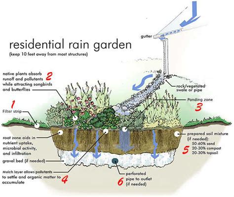 Rain Gardens Come Contrastare Gli Allagamenti In Ambito Urbano