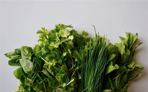 Fresh Herbs Four Ways | Nutrition | MyFitnessPal