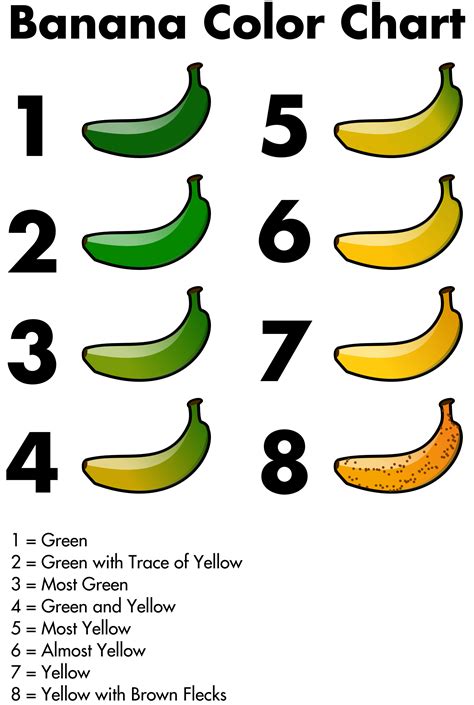 Clipart - Banana Color Chart