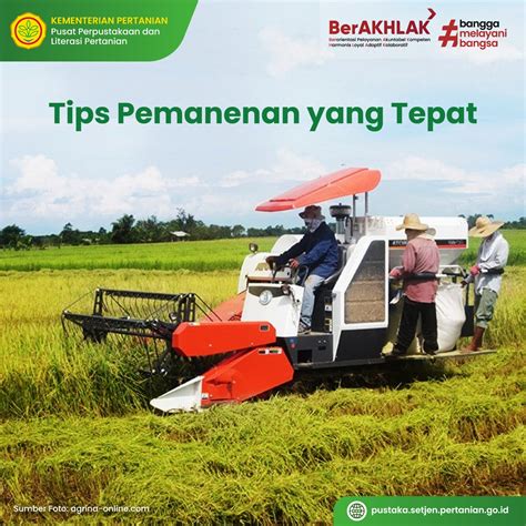 Info Teknologi Tips Pemanenan Yang Tepat