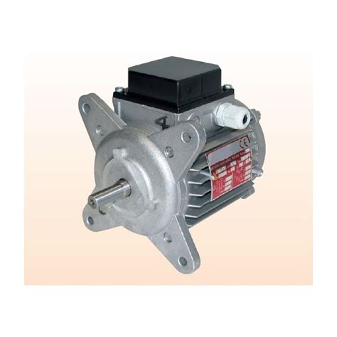 Three Phase Motor For Unit Heaters Motors Dell Erba Electric Motors And Spare Parts