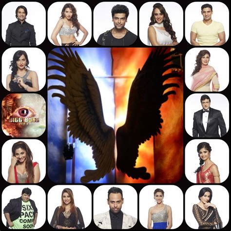 Meet the Bigg Boss 7 contestants - Colors Tv