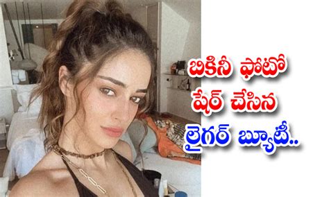 Liger Movie Fame Ananya Pandey Sizzling In Bikini Liger Movie Fame Ananya Pandey Ananya