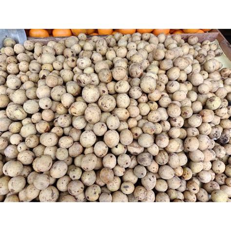 Jual Duku 1kg Shopee Indonesia