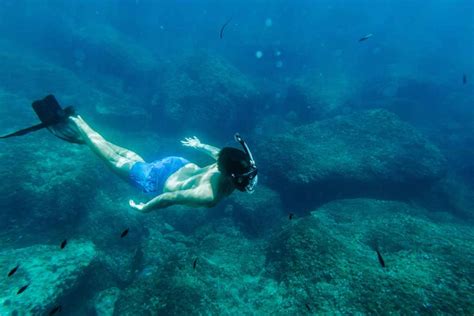 Kayak Y Snorkel En Isla De P Jaros Desde Mazatl N