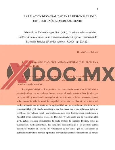 La Relaci N De Causalidad En La Responsabilidad Civil Por Da O Al Medio