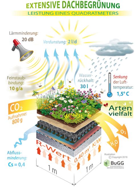 Positive Wirkung Von Dachbegr Nung Und Fassadenbegr Nung Energie