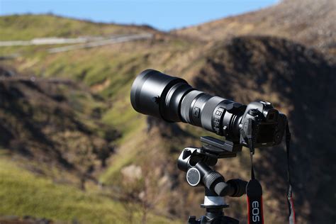 Sigma 150 600mm F5 63 Dg Os Hsm Sports Shooting Report Photo Yodobashi