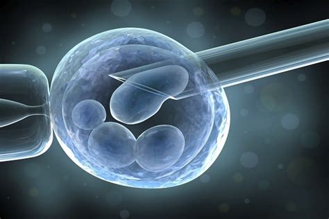 In Vitro Fertilization Ivf Best Medical Care Service Medical Arrow