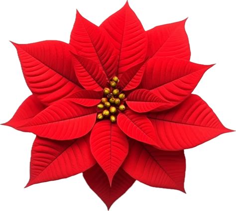 Ai Generated Christmas Poinsettia Flower Png 35063127 Png