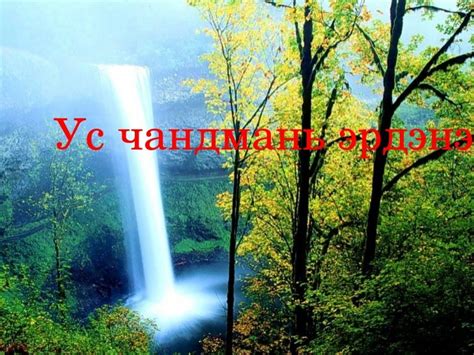 ус
