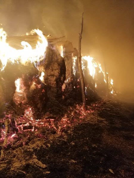 Incendiu Provocat Inten Ionat La Tupila I Au Ars Porci I De