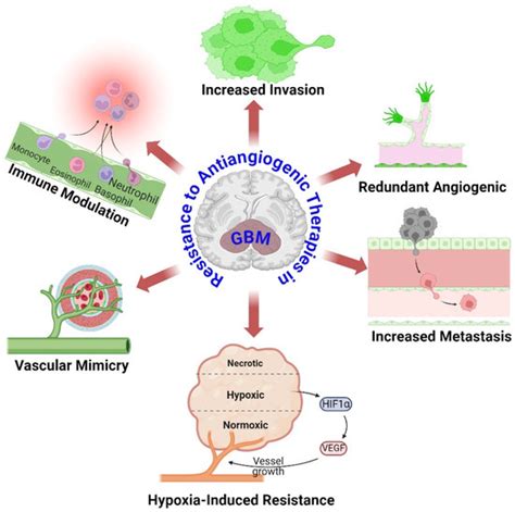 Cancers Free Full Text Recent Treatment Strategies And Molecular