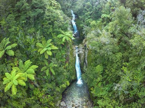 7 Best Things To Do In Feilding Nz Pocket Guide