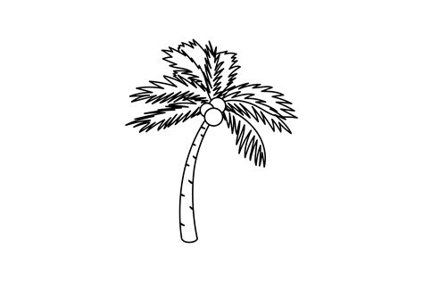 Summer Beach Coconut Tree Line Icon 5 Graphic By Goodcicadaid