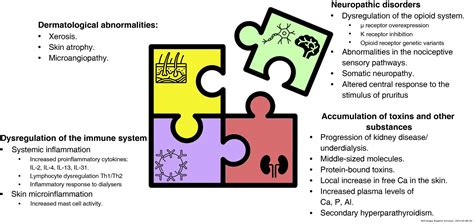 Etiopathogenesis of chronic kidney disease-associated pruritus: putting