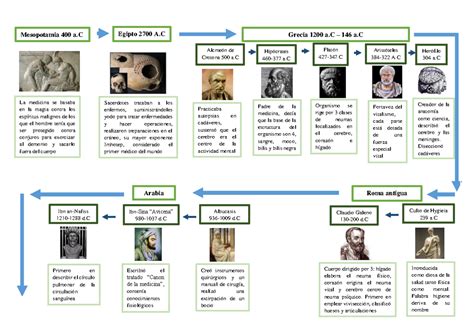 Linea Del Tiempo Avances De La Medicina Kulturaupice Hot Sex Picture