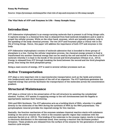 The Vital Role Of Atp And Enzymes In Life Essay Sample Free Essay