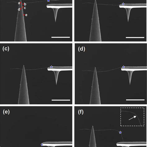 A 3D Schematic Of In Situ Electron Microscopy Nanomechanical Peeling