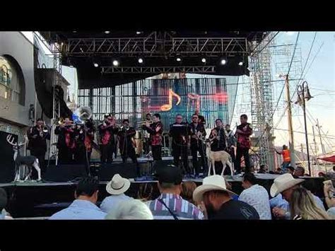 Banda Los Tamazulas Patricia Feria Sn Pablo Chimalpa 2024 YouTube