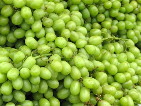 Grapes Background Stock Photo Image Of Food Yummy Fruits 16294518