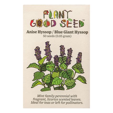 Anise Hyssop Seeds The Plant Good Seed Company