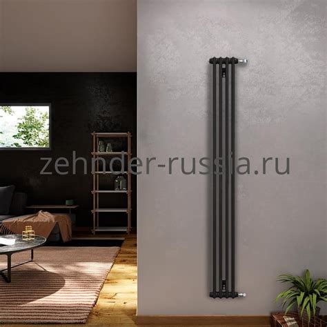 Купить Вертикальный радиатор Zehnder 2180 / 04 N1270 3/4“ RAL 9217matt ...