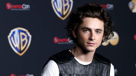 What Movie Did Timothée Chalamet Get an Oscar Nomination For?