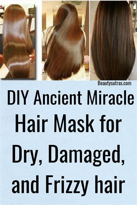 7 Simple Diy Hair Masks For Dry Damaged Hair Artofit