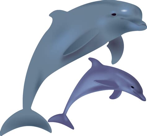 Poissons Dauphins Images Illustrations Gratuites Libres De Droits