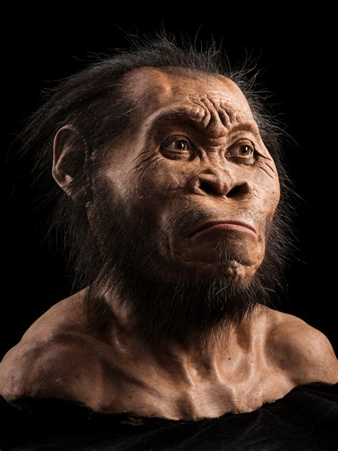 Age Of Ape Human Species Homo Naledi Revealed To Years Old