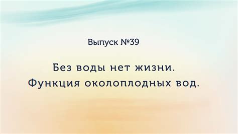 Функции околоплодных вод - YouTube