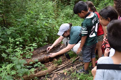 Exploring New Jersey Audubon A Journey Into Nature S Wonders