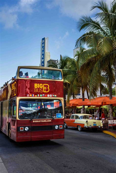 Big Bus Miami Hop On Hop Off Tour Book Now With Global Bus Tours