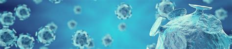 Rendering Hepatitis H1N1 HIV FLU AIDS Viruses Abstract Background