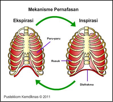 Kereta Sains Berlari Biologi Kimia Fisika