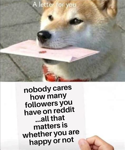 Wisdom Shared Via Dog Rmemes
