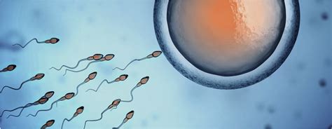 Ivf Treatment In Bangkok Thailand Bangkok Central Clinic