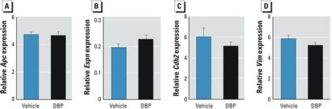 Comparative Effects Of Di N Butyl Phthalate Exposure On Fetal Germ